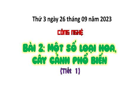 Bài giảng Công nghệ Lớp 4 (Cánh diều) - Tuần 4, Bài 2: Một số loại hoa, cây cảnh phổ biến (Tiết 1) - Năm học 2023-2024