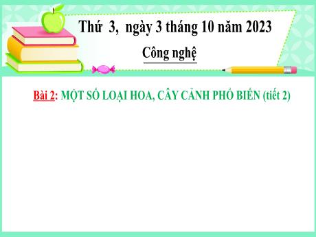 Bài giảng Công nghệ Lớp 4 (Kết nối tri thức) - Tuần 5, Bài 2: 1 Số loại hoa, cây cảnh phổ biến (Tiết 2) - Năm học 2023-2024