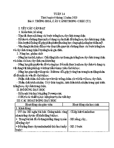 Giáo án Công nghệ 4 (Kết nối tri thức) - Tuần 14, Bài 5: Trồng hoa, cây cảnh trong chậu (Tiết 2) - Năm học 2023-2024