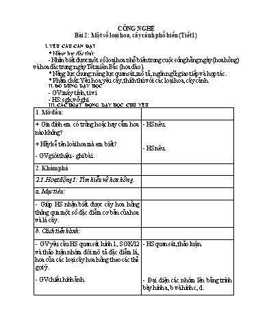 Giáo án Công nghệ Lớp 4 (Kết nối tri thức) - Tuần 4, Bài 2: Một số loại hoa, cây cảnh phổ biến (Tiết 1)