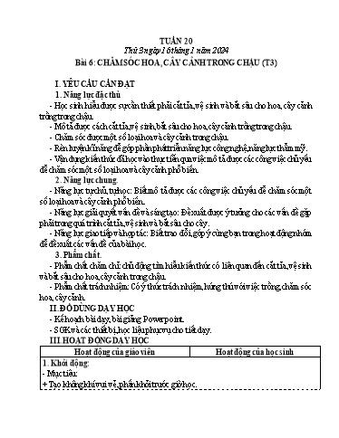 Giáo án Công nghệ Lớp 4 - Tuần 20, Bài 6: Chăm sóc hoa, cây cảnh trong chậu (Tiết 3) - Năm học 2023-2024